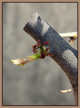 P1140252--.jpg