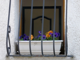 7 mars 09 006.jpg