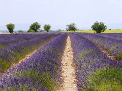 P1100035.JPG