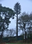 Saint Pierre Quiberon, antenne-relais.jpg