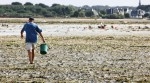 Petite mer de Gâvres.jpg
