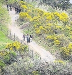 Crach, chemin côtier.jpg