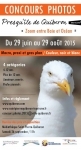 Concours Photo SPQ-Quiberon.jpg