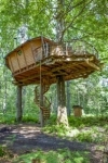 Cabane dans les arbres.jpg