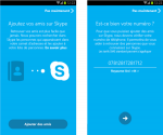 Skype et vos amis.png