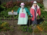 Le potager.jpg