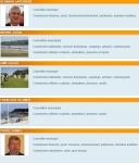 Conseillers municipaux de SPQ.jpg