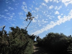 2011 06 moulin (1).JPG