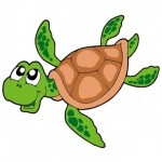 Tortue en sticker.jpg