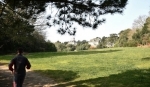 Ile de Berder, propriété de Giboire.jpg
