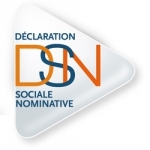 DSN, logo.jpg