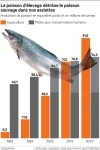 Poisson délevage.jpg