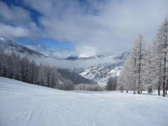 IMG_0242.JPG