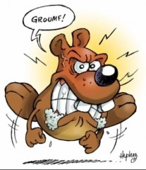 ChienEnColère.jpg
