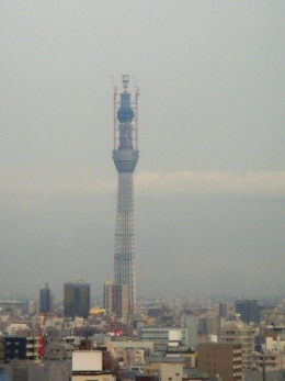 Tokyo Sky Tree.JPG