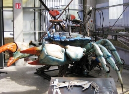 Crabe.jpg