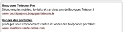 Bouygues 2.jpg