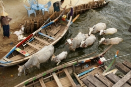 01 Mandalay (184) Pont d'U Bein.JPG