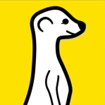 meerkat.jpg