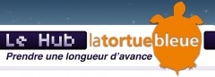 Tortue.jpg