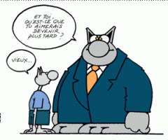 chat vieux.gif
