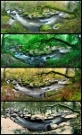 Martial_Ermel_4saisons.jpg