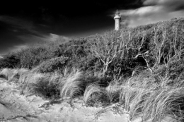 PhareOKb&w.jpg