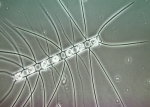 L1002727.jpg