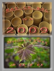 voeux 2010-B.jpg