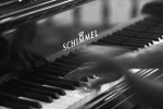 L1006114.gif