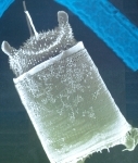 L1002728.jpg