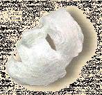 mask_01.gif