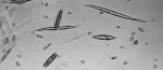 L1002713.jpg