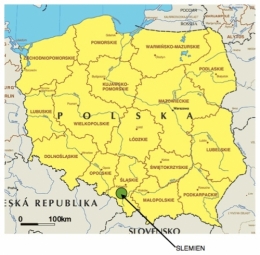 Image 5.jpg