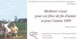 _voeux 2009.jpg
