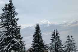 L1001309.jpg