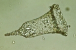 L1002734.jpg