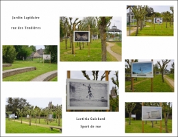 festival photo,exposition photos,dol de bretagne