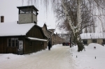 36150471.jpg