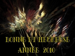 Voeux 2010 a.jpg