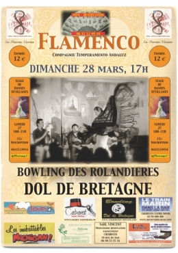 AFFICHE FLAMENCO.jpg