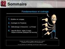 IA Opérationnelle et Prompt Engineering appliqués