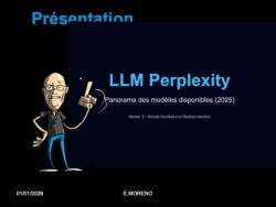 IA Opérationnelle et Prompt Engineering appliqués