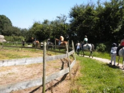 Séjour Equitation Eté 2012