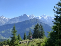 Suiza, trenes, montaña, paseos