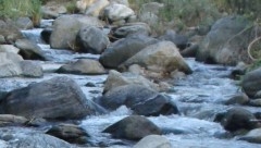 NV-IMP569.JPG