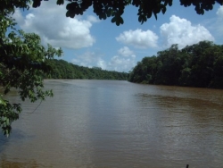 le fleuve Kourou