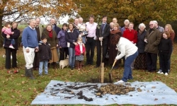 Planting the first tree