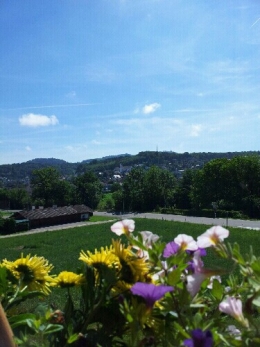mobile_picture