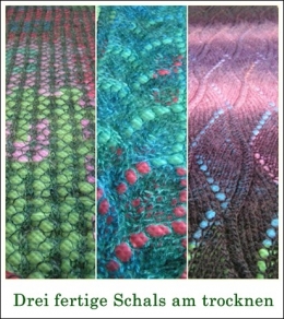 Schals juli 09.jpg